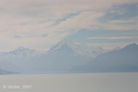 IMG_8534