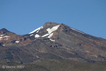 IMG_8971