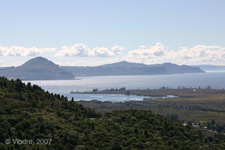 IMG_9001