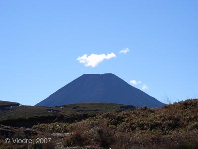 R0010541