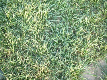 DSCF0051