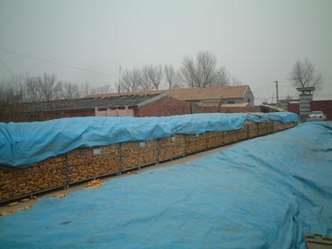 DSCF0102