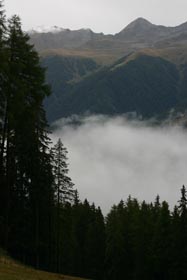 IMG_3329
