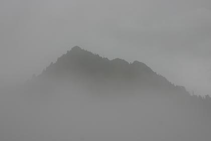 IMG_3338