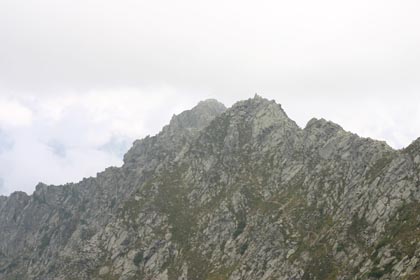 IMG_3441