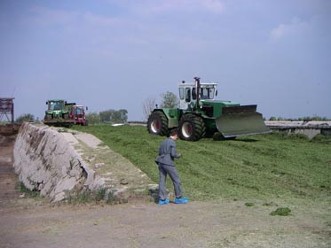 01PICT0679