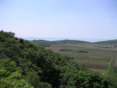 08PICT0690