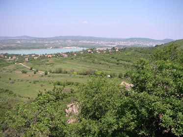 12PICT0694