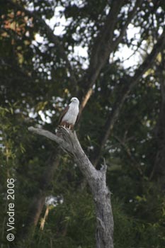 IMG_8025