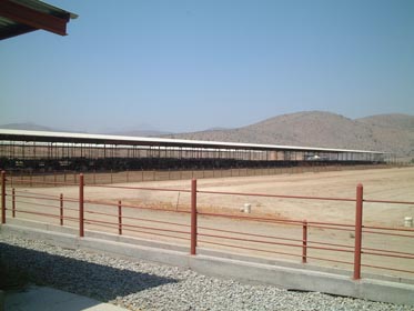 DSCF0004